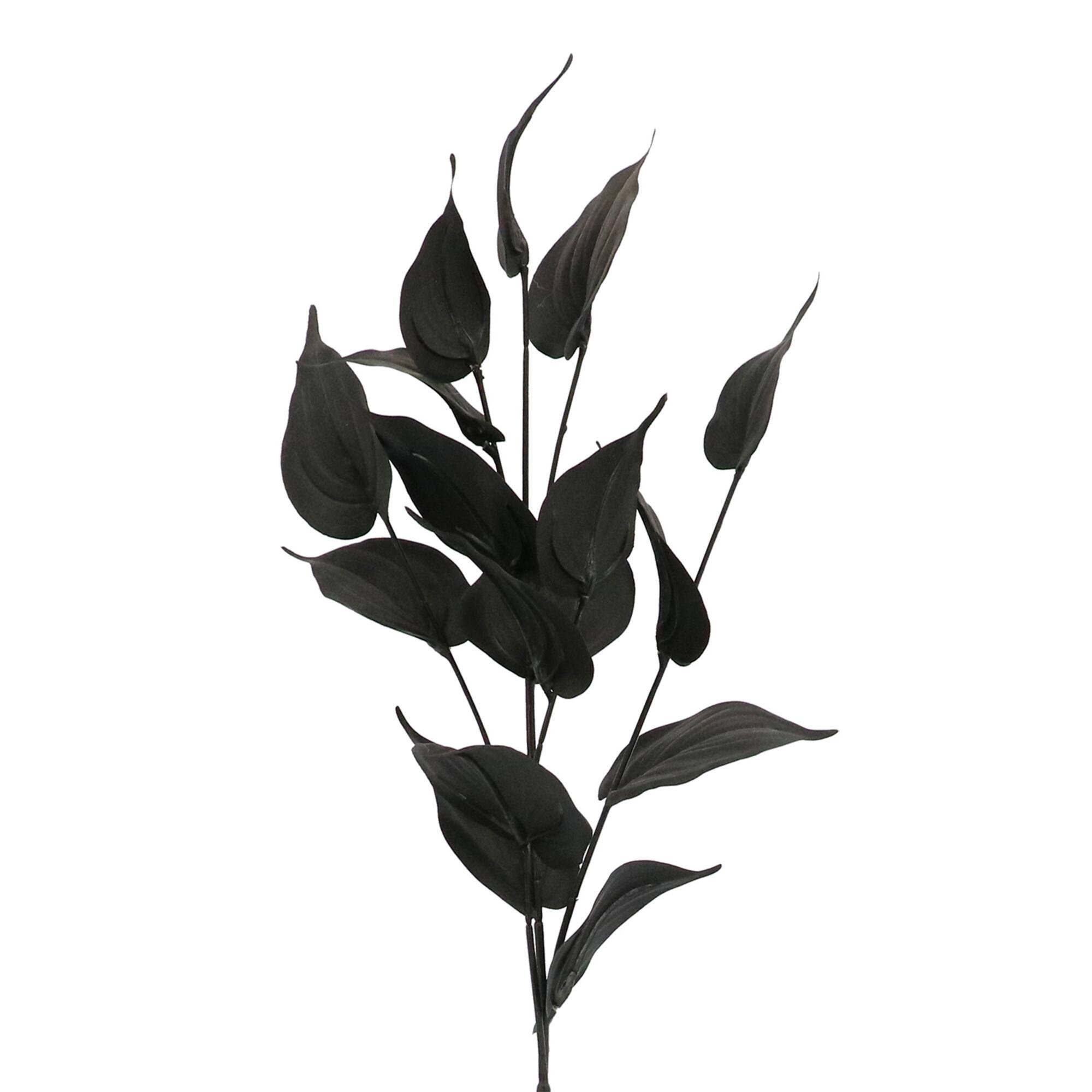Black Philodendron Leaves Stem by Ashland®